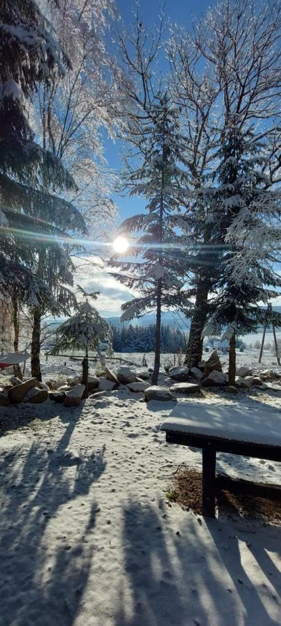 Domek Dorota Z Widokiem Na Gory Lasowka 5Km Do Zieleniec Ski Arena Esterno foto